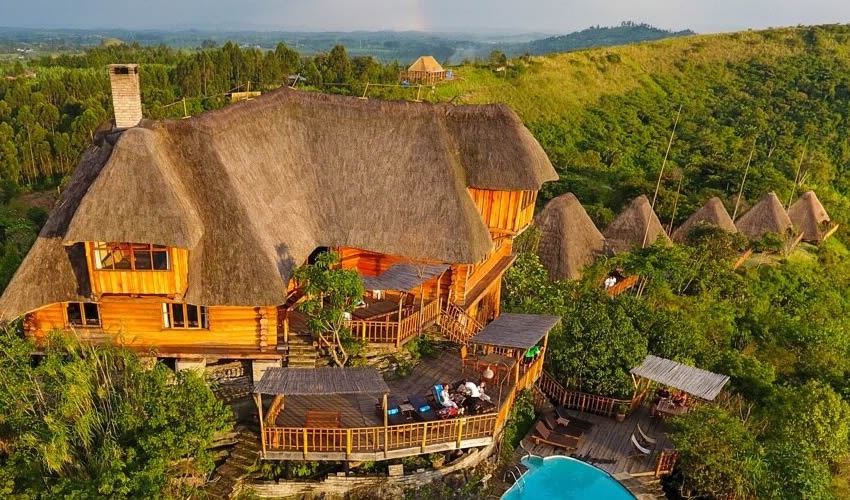 What To Consider When Planning A Honeymoon In Uganda?